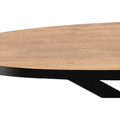 Eettafel Mascaro 250x128 cm ovaal mango