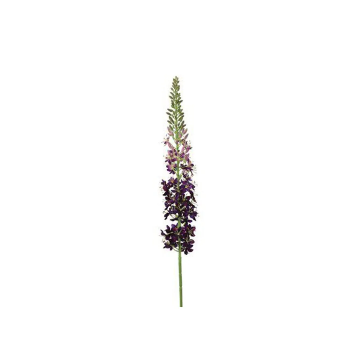 Kunstbloem Abriolia Eremurus S paars