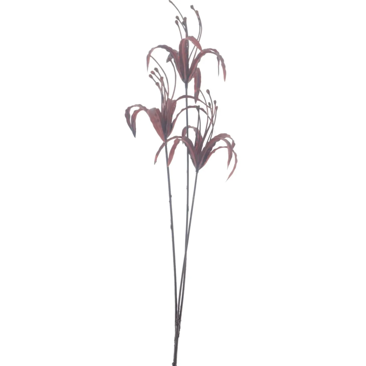 Kunstbloem Varenzo Nerine M rood