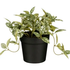 Kunstplant Curone Fittonia groen