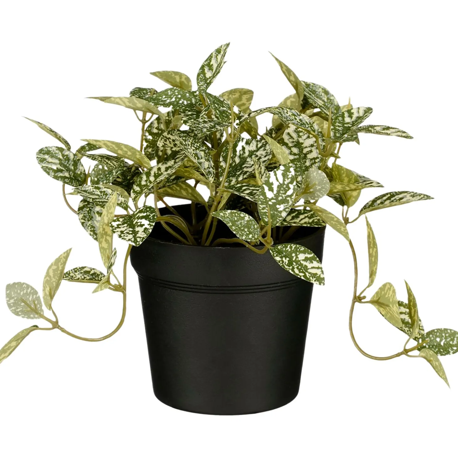 Kunstplant Curone Fittonia groen
