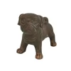 Perrito hond Pugsy staand bruin