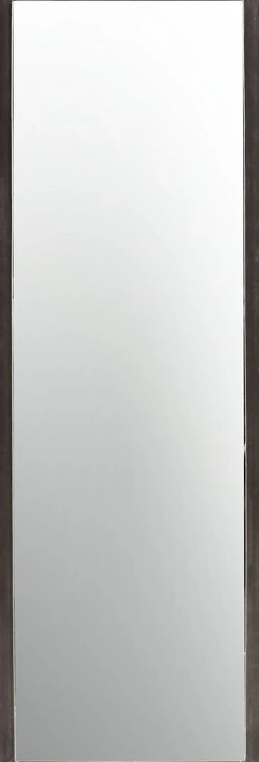 Spiegel Carpino Metaal 120x40 cm