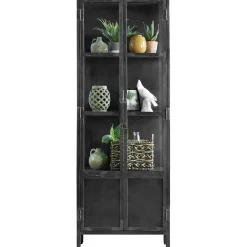 Vitrinekast CARPINO (65 CM) metaal glas